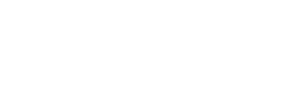 ORLEN Paliwa